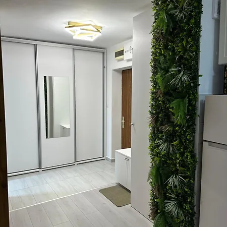 Apartament Zen Downtown *