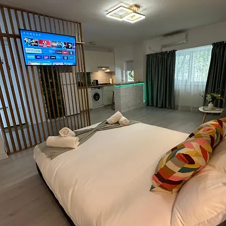 Zen Downtown Apartment