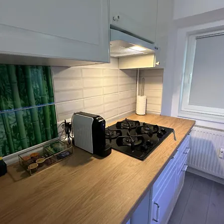Zen Downtown Apartment