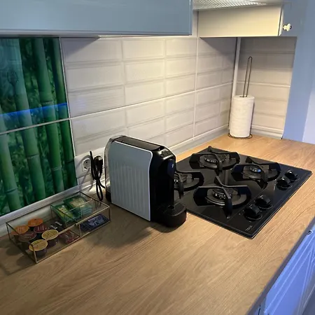 Apartament Zen Downtown