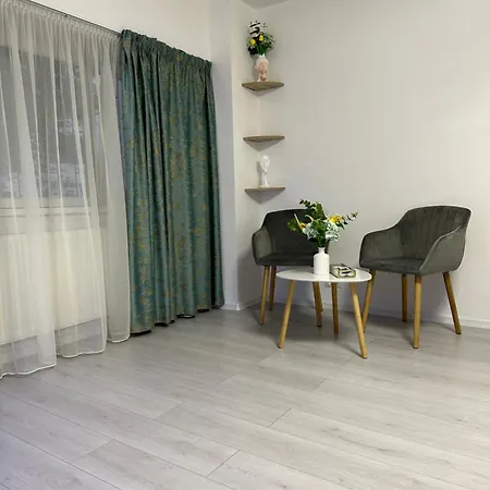 Appartement Zen Downtown Bucarest