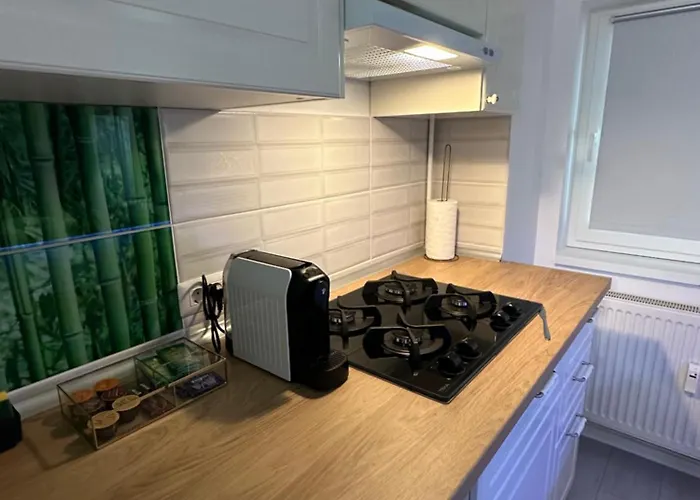 Zen Downtown Apartament