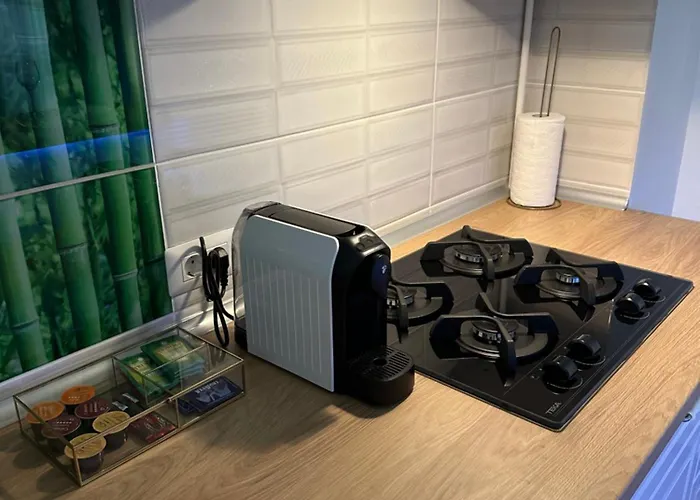 Apartament Zen Downtown