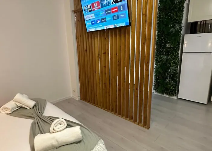 Zen Downtown アパート ブカレスト